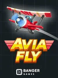 Avia Fly crash at F111 COM